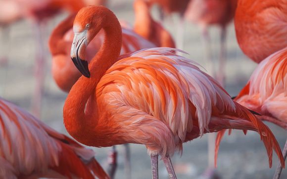 Et pour aller plus loin...