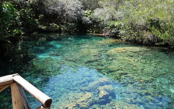 Et pour aller plus loin...