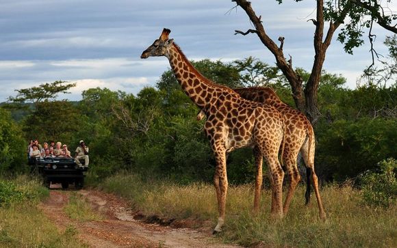 Ihre Rundreise im Detail