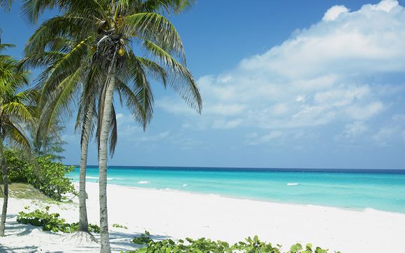 Willkommen auf... Kuba!