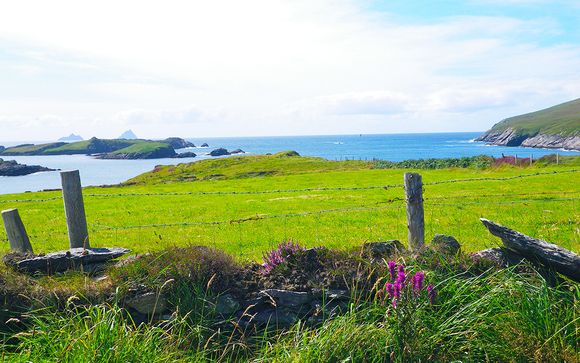 Ihre Rundreise im Detail