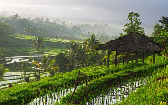 Willkommen auf... Bali!