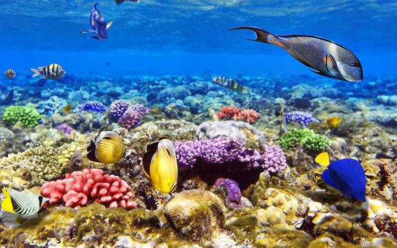 Et pour aller plus loin...