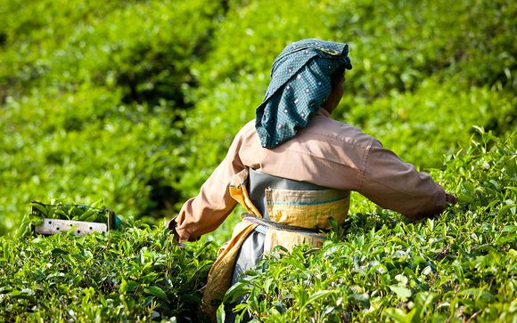 Ihre Rundreise im Detail