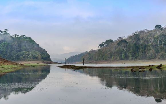 Willkommen in Kerala !