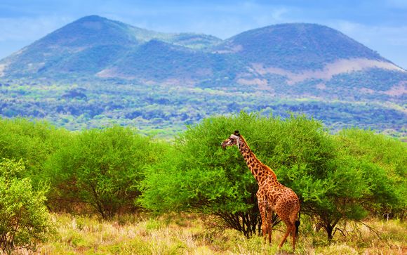 Ihre Reiseroute auf Ihrer Safari im Detail