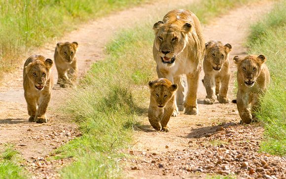 Willkommen in... Kenia!