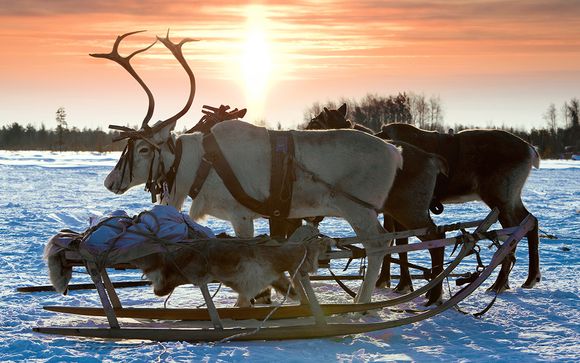 Ihre optionale Exkursionen