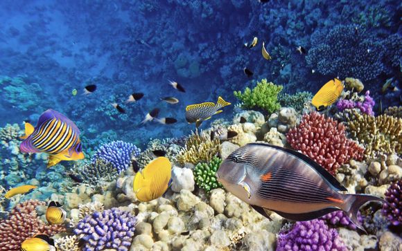 Willkommen in... Ägypten!