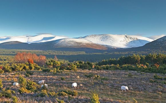 Willkommen in... Schottland!
