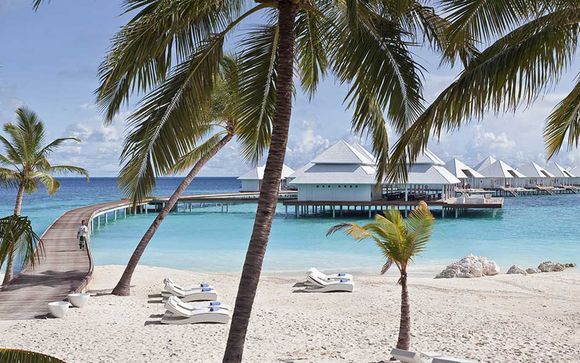 Willkommen auf... Male!