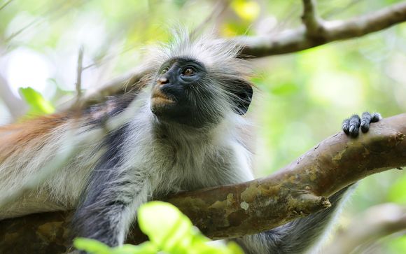 Ihre Informationen zum Transport