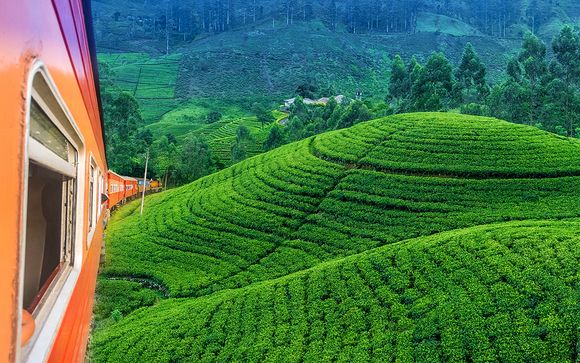 Ihre Rundreise im Detail