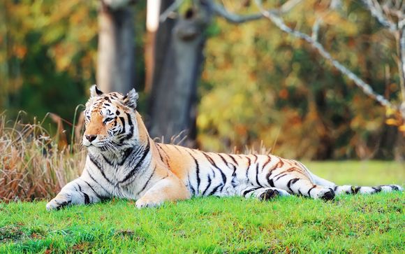 Ihre Rundreise im Detail