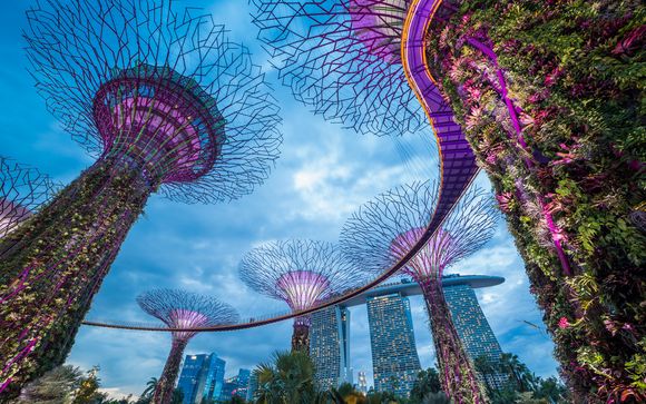 Ihre Optionen in Singapur