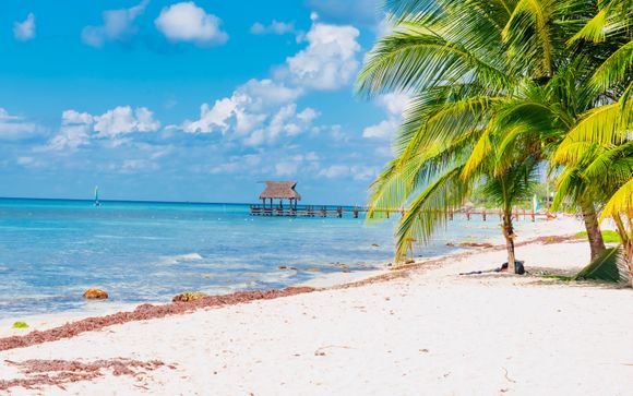 Willkommen in Miami und der Karibik