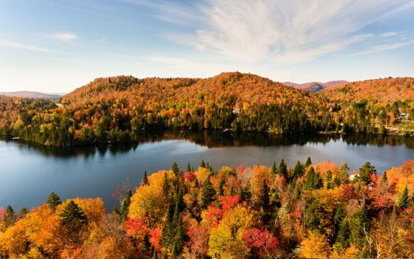 Im Angebot enthalten