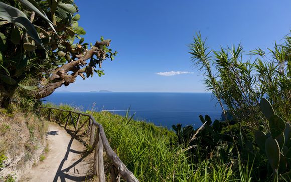 Im Angebot enthalten