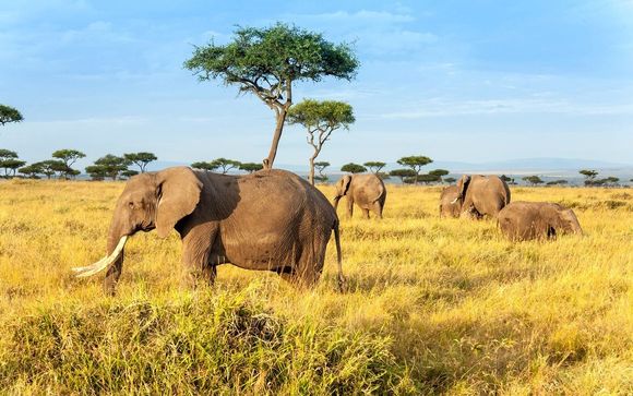 Ihre Safari im Überblick