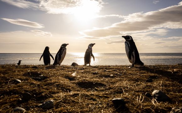 Ihre Rundreise im Detail