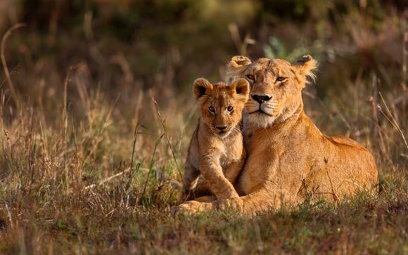 Ihre Reise im Überblick