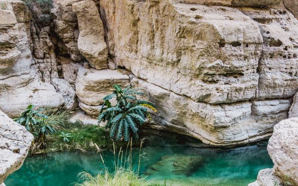 Im Angebot enthalten (bei Angebot 2)