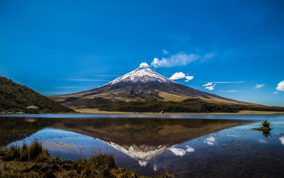 Ihre Rundreise im Detail