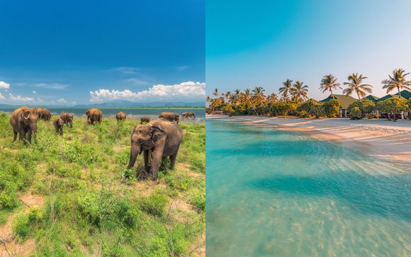 Willkommen in Sri Lanka und auf den Malediven!