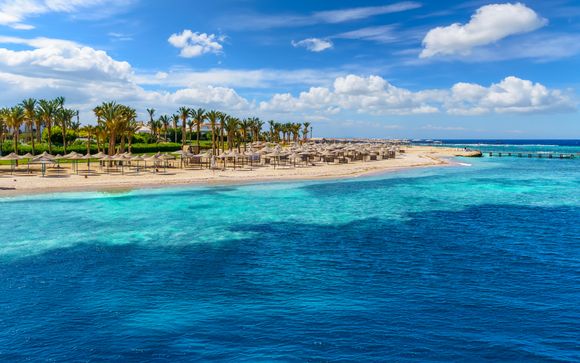 Red Sea Adventure