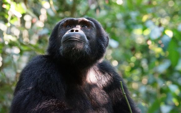 Ihr Reiseverlauf im Detail