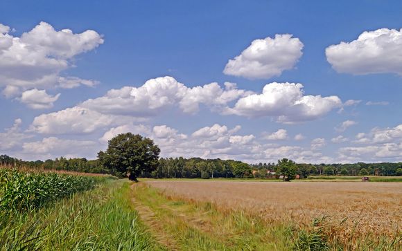 Willkommen im... Oldenburger Münsterland!