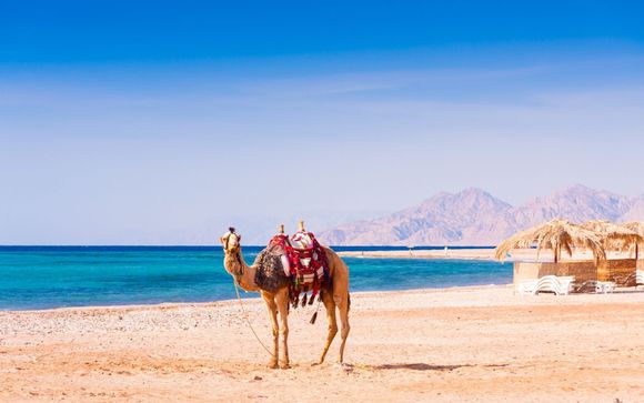 Willkommen in... Ägypten