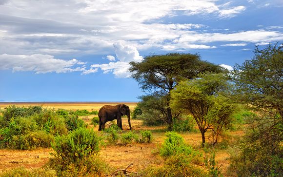 Ihre Safari im Detail