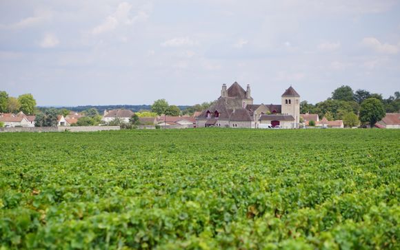 Ihre Kreuzfahrt im Detail