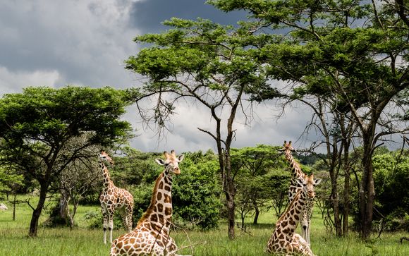 Ihre Rundreise im Detail