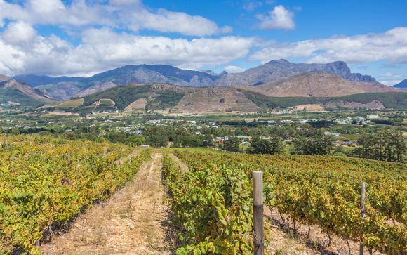 Ihre Ausflugsoptionen