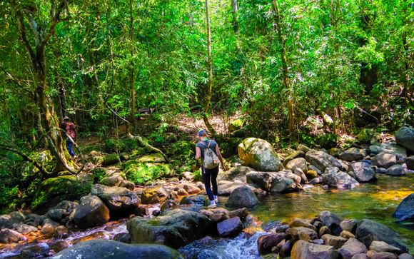 Ihre Ausflugsoptionen