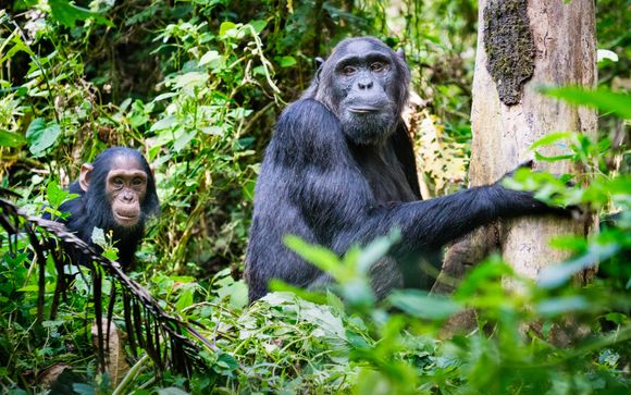 Ihre Rundreise im Detail