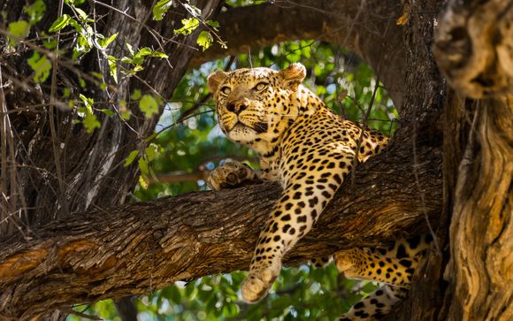 Ihre Rundreise im Detail