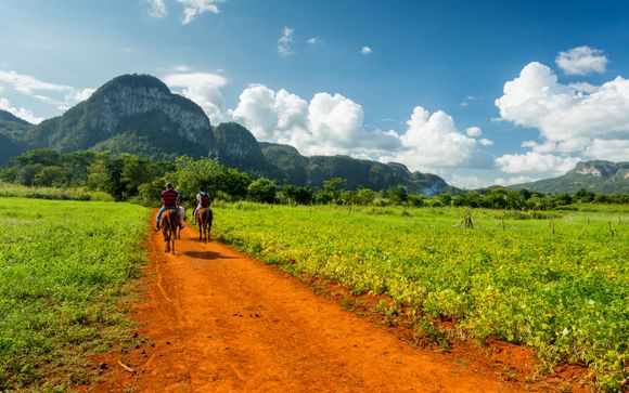 Ihre Rundreise im Detail