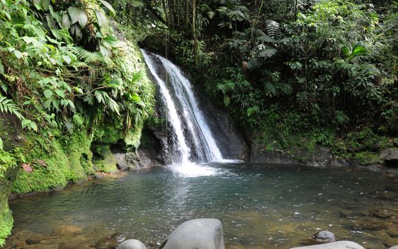 Ihre Ausflugsoptionen
