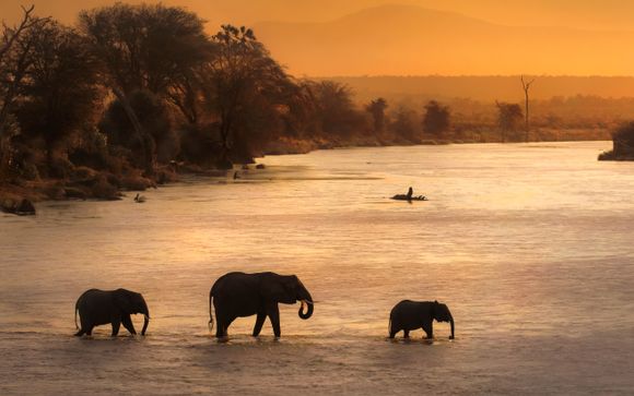 Ihre Ausflugsoptionen