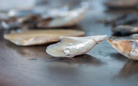 Ihre Rundreise im Detail