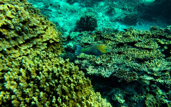 Ihre Ausflugsoptionen