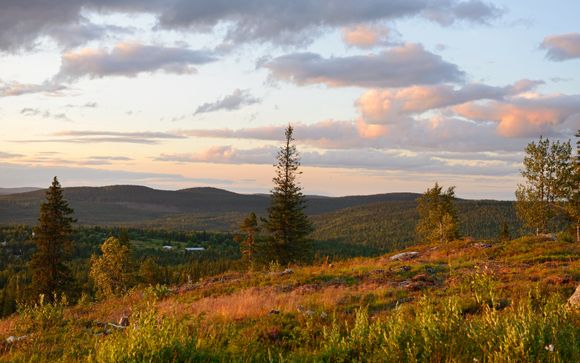 Ihre Ausflugsoptionen