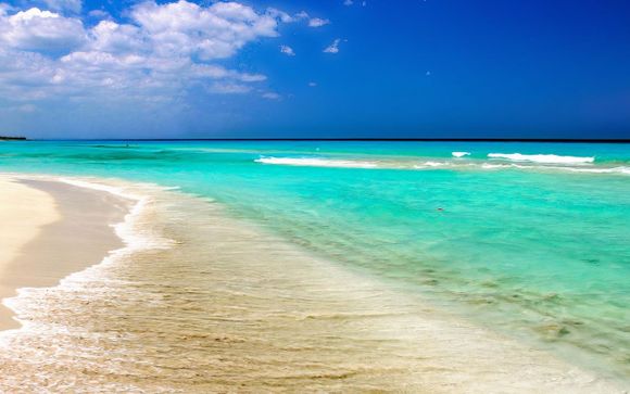 Ihre Ausflugsoptionen