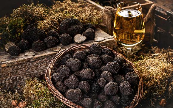 Ihre Reise im Überblick