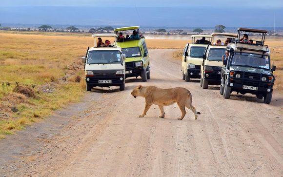 Ihre Safari im Detail