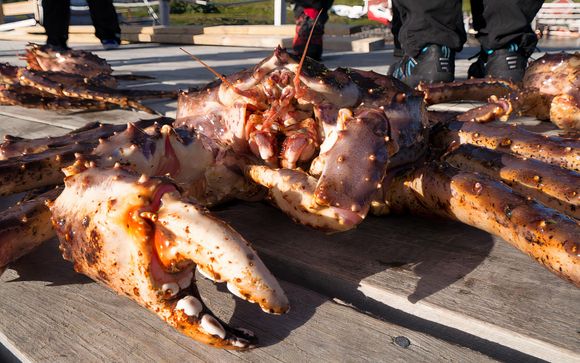 Ihre Ausflugsoptionen