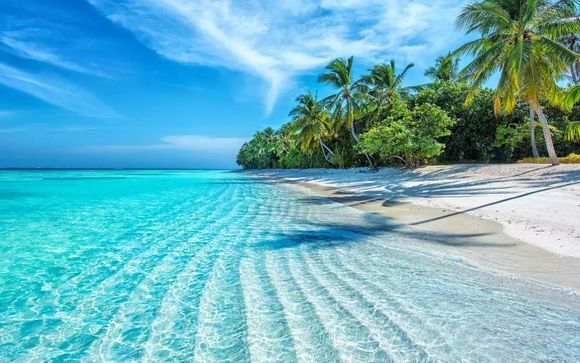 Willkomen in Katar und Auf den Malediven!